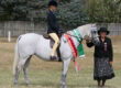 Roseagle Spring Fair – Jade Farrant with Judge Dawn Gresham