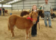 The youngest handler of the day enjoys winning her class for Shetland pony Foals.
