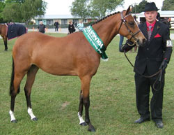Youngstock 2010/2011