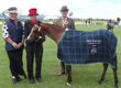Canterbury Pony Breeders Overall